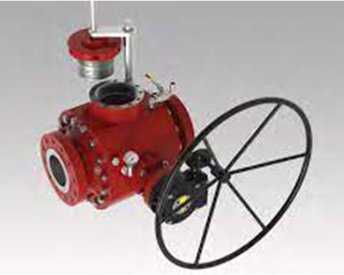 Pig Valve